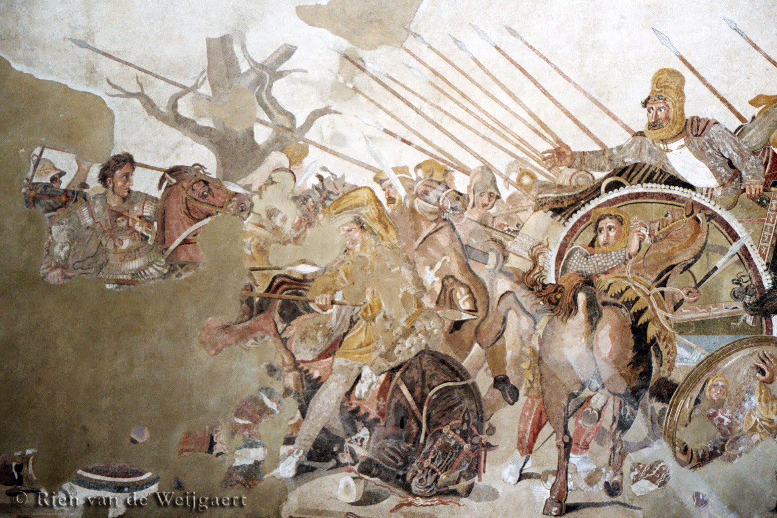 Резултат с изображение за Александър Македонски побеждава в Битка при Гавгамела